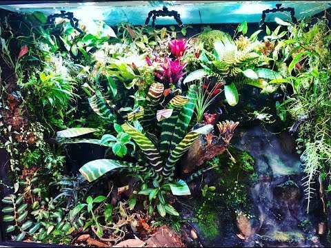 My vivarium build adventure