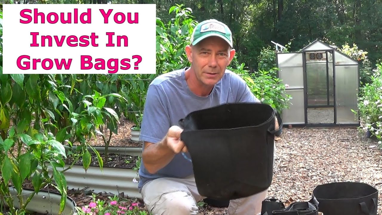 Grow Bags (Are they worth the investment?)