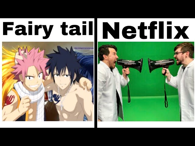 FAIRY TAIL MEMES 