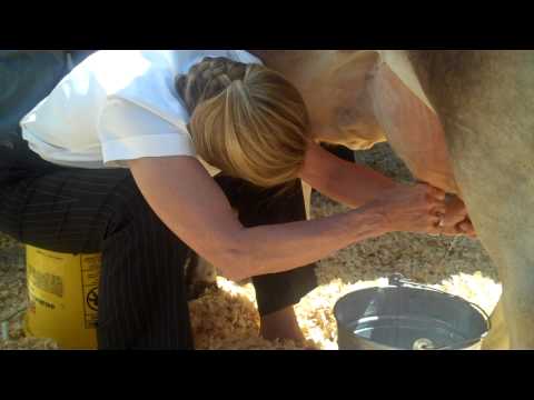 Sen. Charlotte Burks at Ag Day Milking Contest