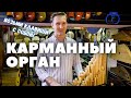 ★ НАСТОЛЬНЫЙ ОРГАН ★ Что, простите?!