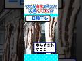 【2ch面白いスレ】なんJ民さん、自宅で作るベーコンが本格的すぎるｗ #2ch #料理 #5ch #なんj #自家製ベーコン #飯テロ