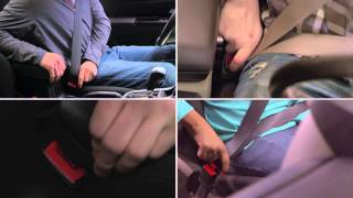 Celebrity Catch the Beat, Buckle Up Profile