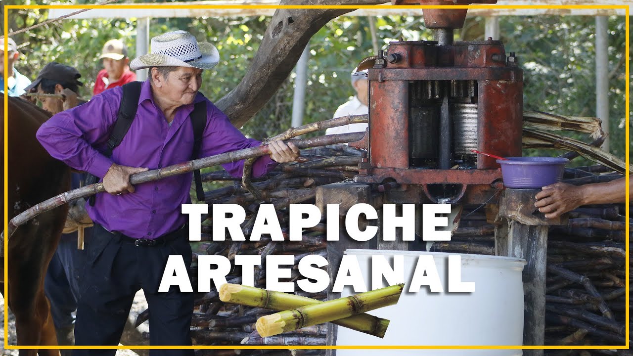trapiche-artesanal-haciendo-dulce-de-panela-youtube