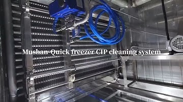 Tunnel Quick freezer CIP cleaning system