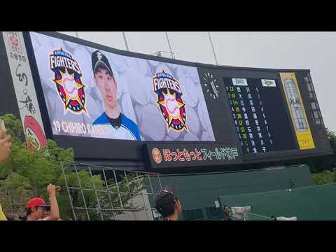 2019.7.23 北海道日本ハムファイターズ vs オリックスバファローズ　スタメン発表