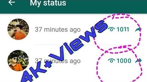 How To Increase Whatsapp Status Views | Get Unlimited Views On Whatsapp Status | TechEasy
