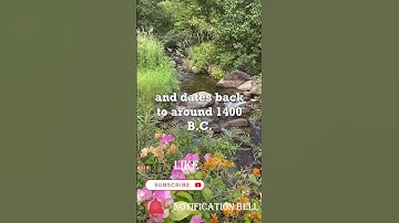 The Oracle of Delphi #viral #history #youtube #youtubeshorts #greece  #magic