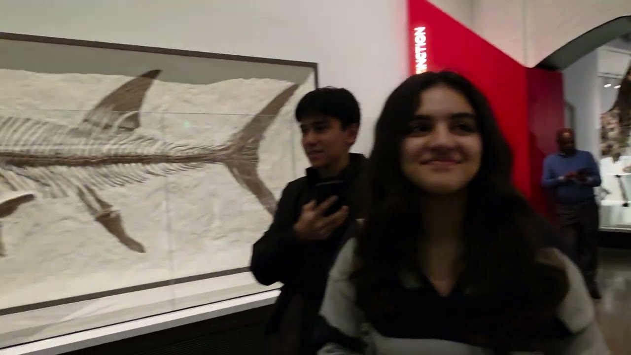 New Haven peabody museum USA