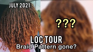 LOC TOUR | Is the Braid Pattern Gone? - 20 Month Old DIY Braidlocs /Microlocs