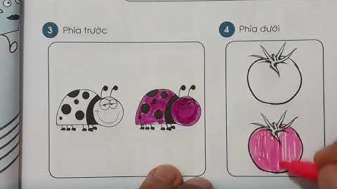 [Vở bài tập TOÁN 1] VỊ TRÍ (trang 7) {Chân trời sáng tạo} / THẦY THÙY