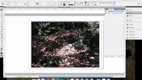 basic basics indesign zine makin