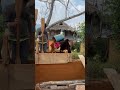 Những ngôi nhà làm bằng đất truyền thống ở Hà Giang đẹp quá #hagiang