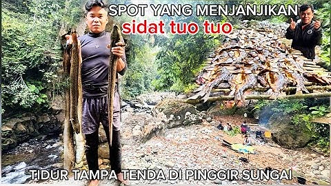 FISHING CAMP JAUH KE HUTAN RIMBA SPOT YANG MENJANJIKAN BERBURU IKAN SIDAT/ IKAN MASHEER