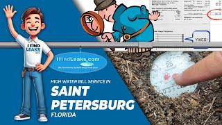 St Petersburg High Water Bill Investigation | How To Check Your Water Meter For Leaks