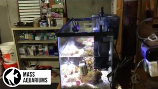 How To Install a Fluval Mini Protein Skimmer: 10 Gallon Reef Tank.