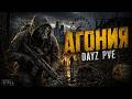 STILL | DAYZ Агония PVE | Новый путь