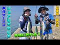 兵庫県加古川本荘ケーソンのショアジギサビキ（ガッ釣り関西#63回｜2020年10月10日放送）