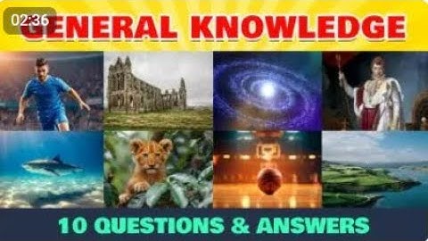 Can You Answer this | Test Your Knowledge | Test Your Knowledge
