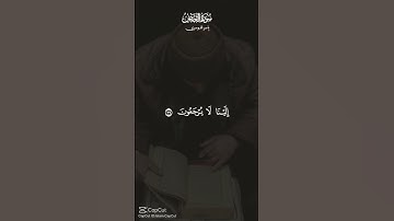 قرأن كريم #الشيخ ياسر الدوسري # سوره القصص# راحه نفسيه# صوت جميل