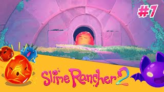 ЧЕТЫРЕ ГОРДО ► Slime Rancher 2 #7