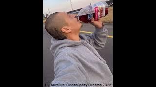 DJ Aurelius: OceanSpray Dreams 2025