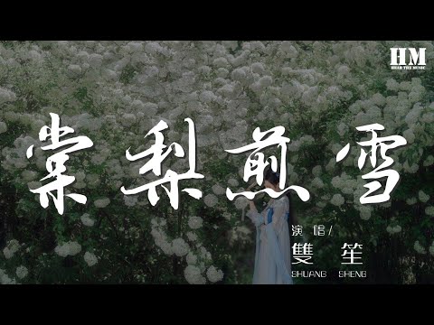 雙笙 - 棠梨煎雪（Cover 銀臨）『舊歲採得枝頭細雪』【動態歌詞Lyrics】