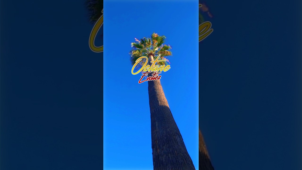 Product Now Available at Symbiotic Sacramento, Ca 📍