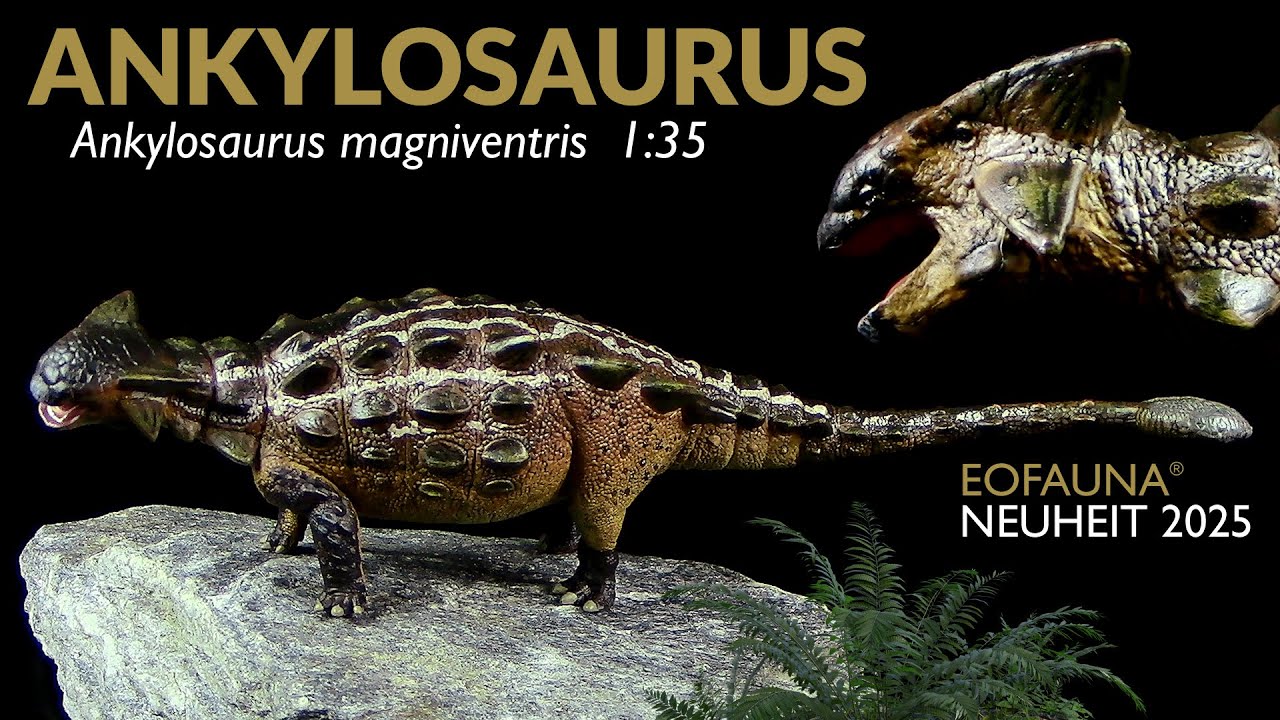 Eofauna ® Ankylosaurus Magniventris 2025 - Review (Deutsch / German)