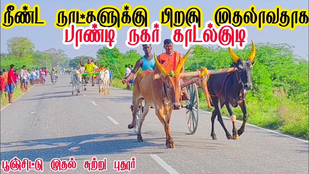 2 தூத்துக்குடி மாவட்டம் புதூர் பந்தயம்