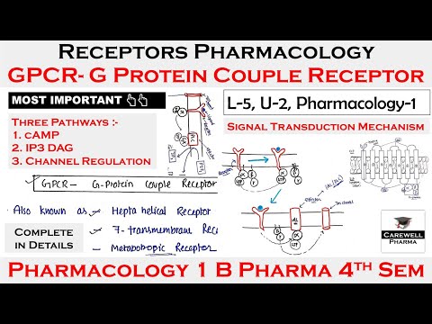 Video: Šta je receptor AG proteina?