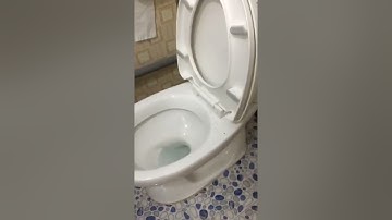 Thông Tắc Cống Tại Thái Thụy Thái Bình 0857.816.333 giá rẻ