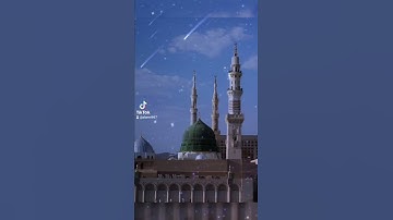 عدة الساعي من تلاوات الشيخ هاني الرفاعي