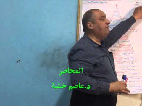 هرم عاصم خشبة للإيجابية والسعادة إستراتيجية لصناعة السعادة