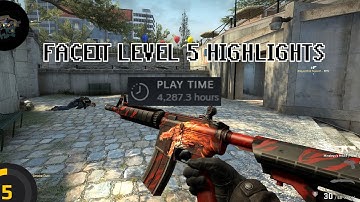 4000 HOURS IN CS - Faceit Level 5/Global Elite Highlights