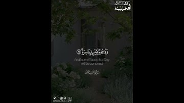 ﴿كلا بل تحبون العاجلة ۝ وتذرون الآخرة﴾ | القارئ: راشد الحليبة