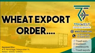 Wheat export order from Bangladesh! Good news for  wheat exporters of India.