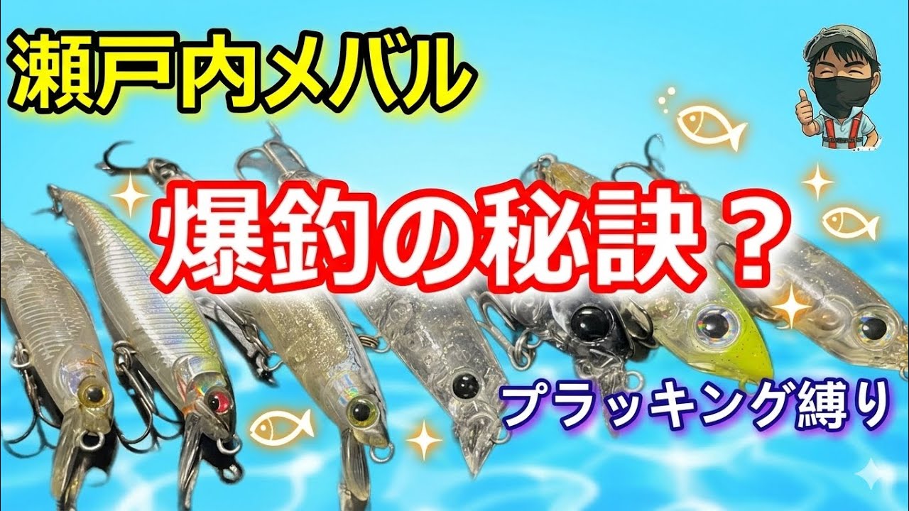 メバル強化月間：新旧ルアーでプラッキングを極めたい！｜さかしん