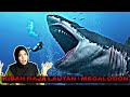 KISAH RAJA LAUTAN | MEGALODON