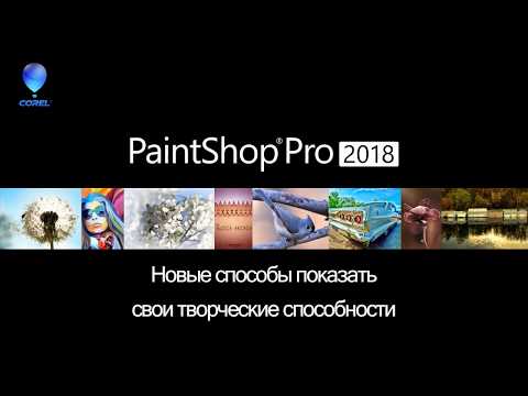 PaintShop Pro 2018: новые способы показать свои творческие способности