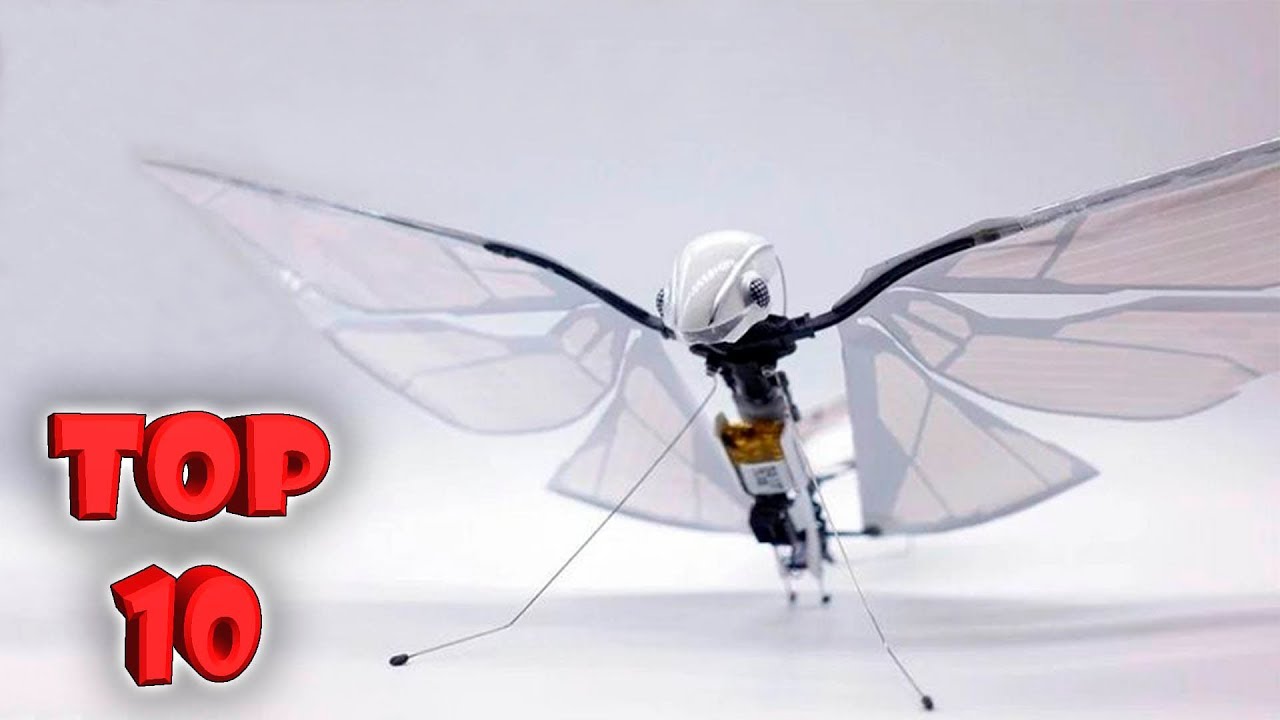 Top 10! Amazing Gadgets AliExpress. Products Amazon 2019 | New Tech