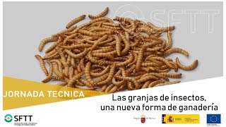 Jornada 'Las granjas de insectos. Una nueva forma de ganadería'