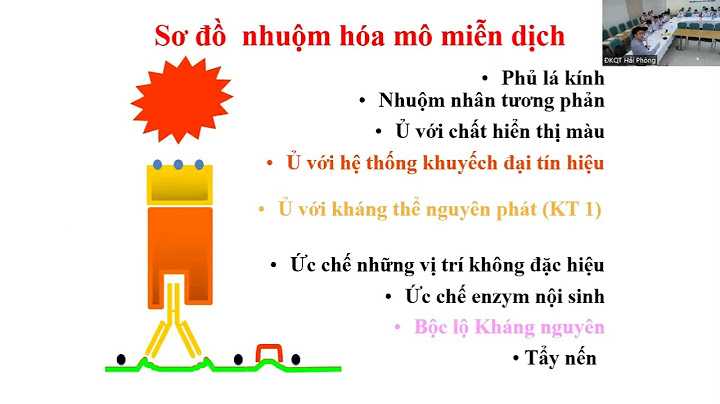 Hóa mô miễn dịch ung thư đại tràng