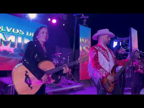 Los Hermanos Chairez - The Dust of These Roads (Official Live Session Video) 2026