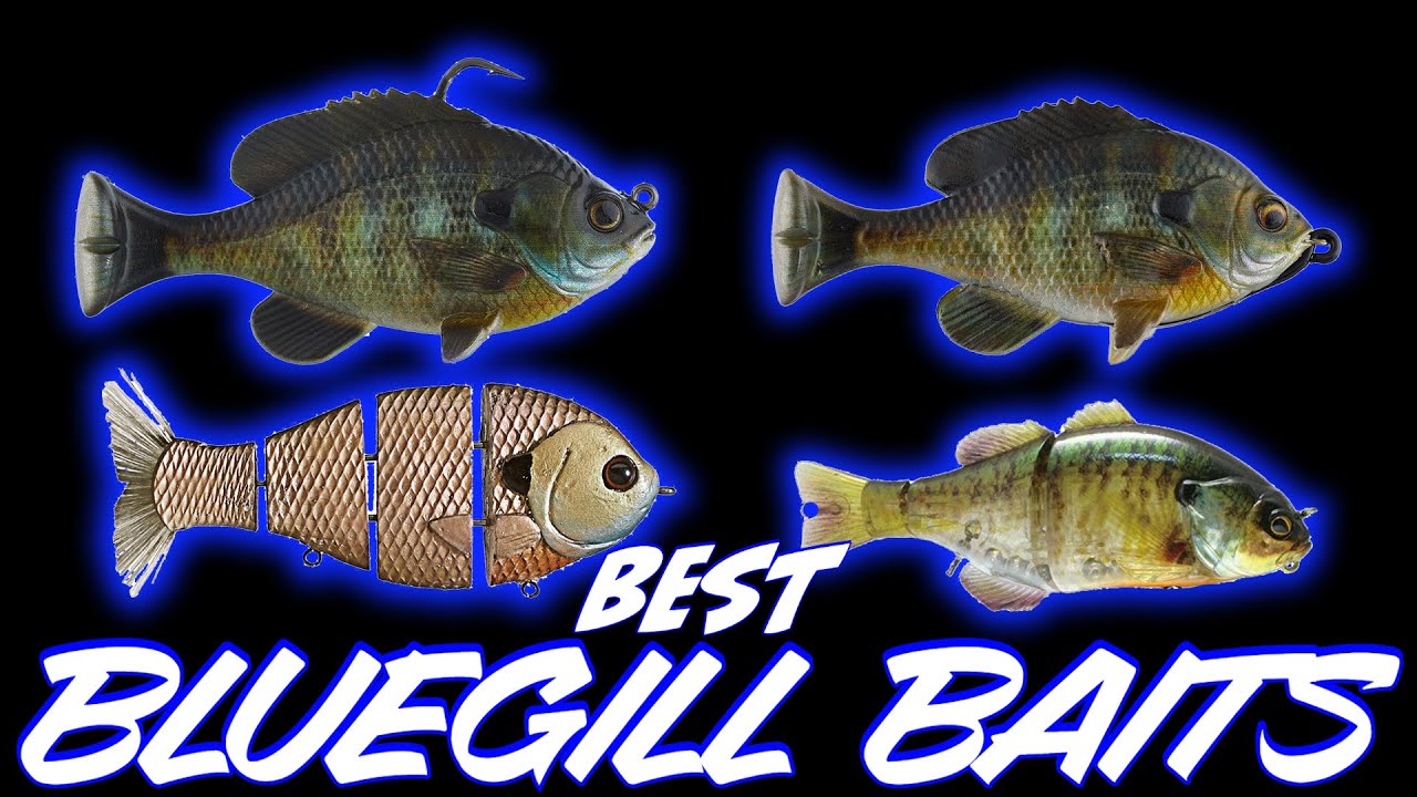 Bass Eat Bluegill! Top Bluegill Swimbaits For Spring Bass Fishing