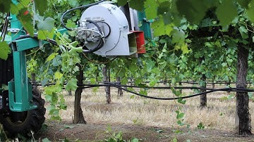 Recent Study Shows All Around Benefits of Mechanized Vineyard Canopy Management