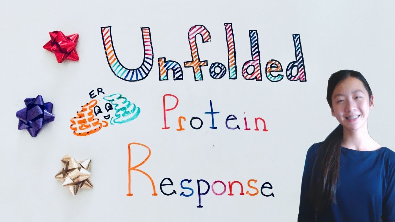 Breakthrough Junior Challenge 2018 The Unfolded Protein Response