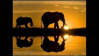 Hans Zimmer - The Journey - Kopano