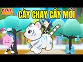 Toan Yolo Hoảng Hốt Khi Được Nhận Cây Mới Khi Cày Chay | Play Together