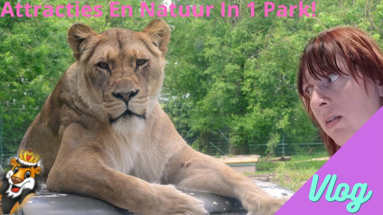 Bellewaerde Park Vlog 27/08/2021^^ (SUB ENG/NED)